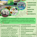 Подразделения