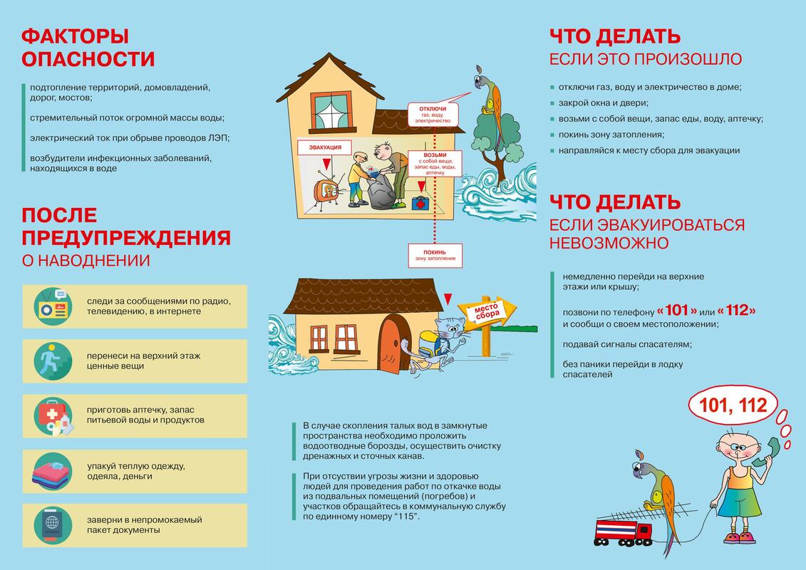 Новости Новости